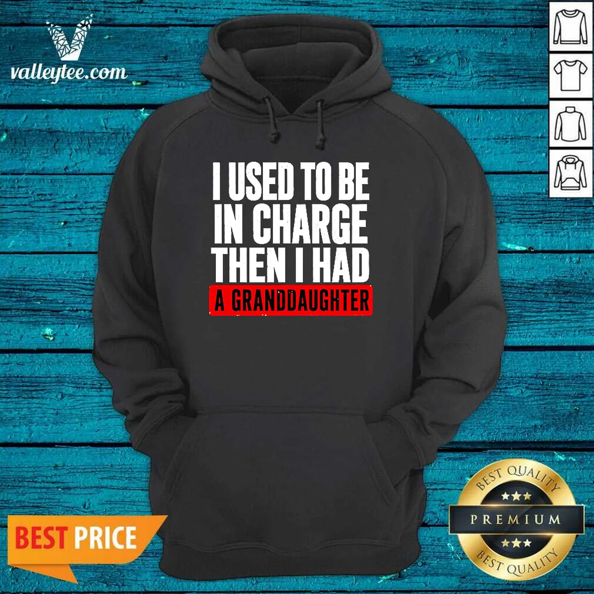 Original I Used To Be In Hoodie Original I Used To Be In Hoodie